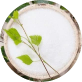 Xylitol used in Memo Volt